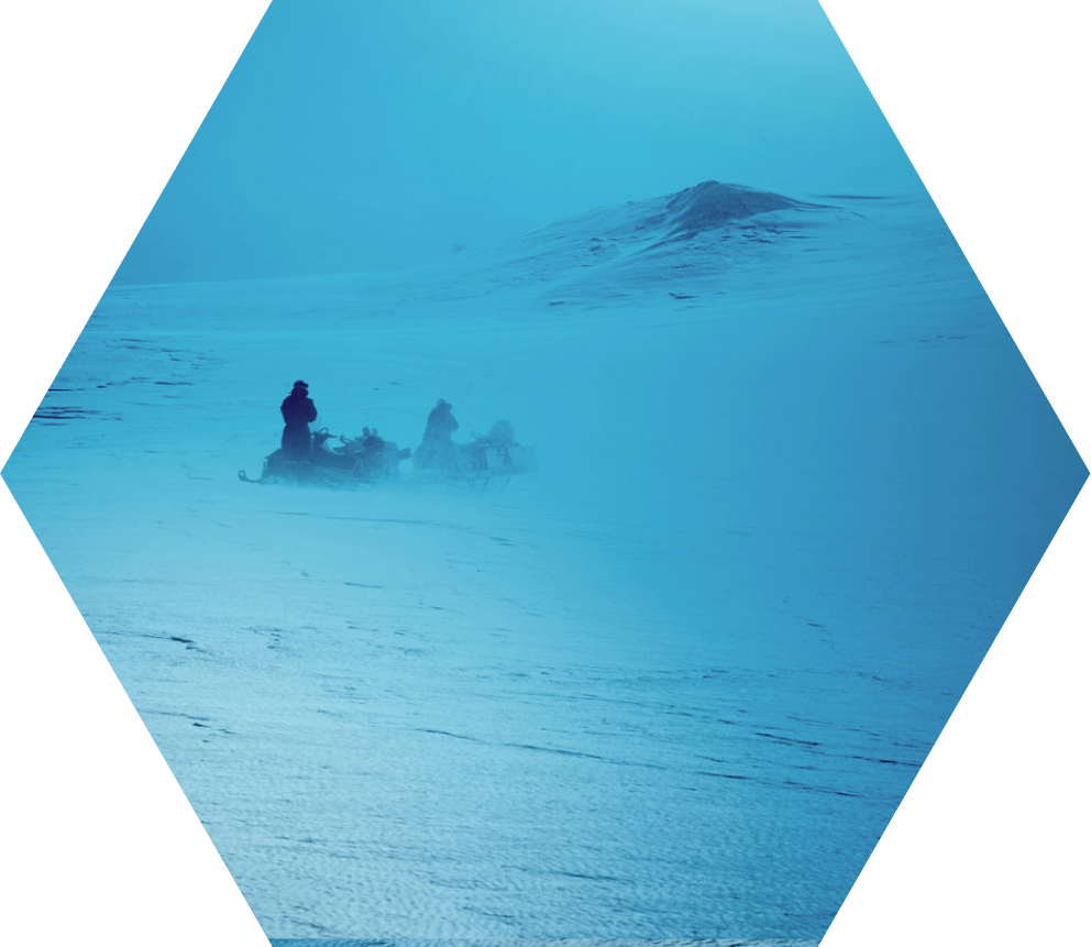 large hex image